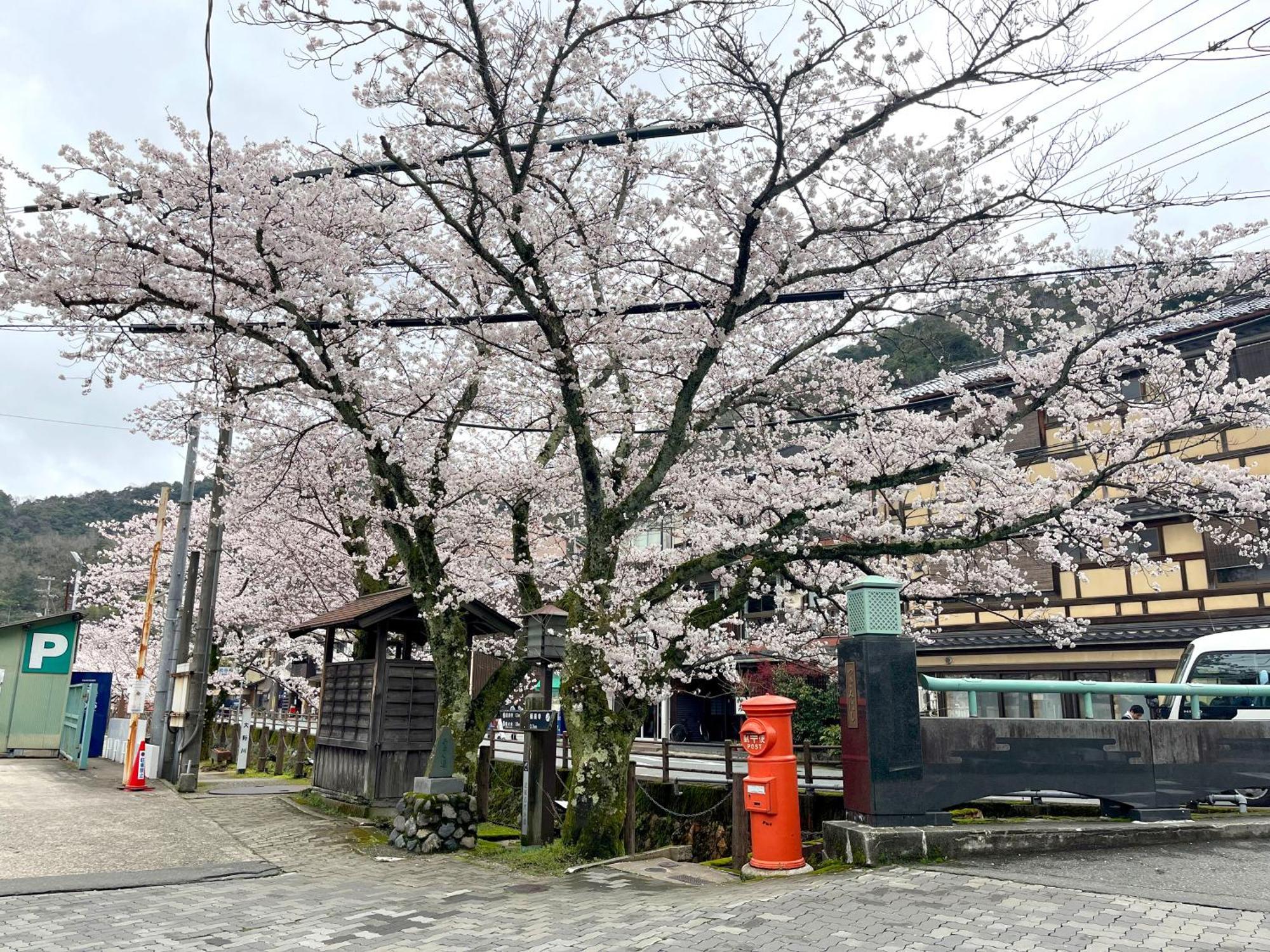 城崎温泉一棟貸し　旅宿yadokari Toyooka  Exterior foto